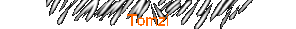 Tomzi